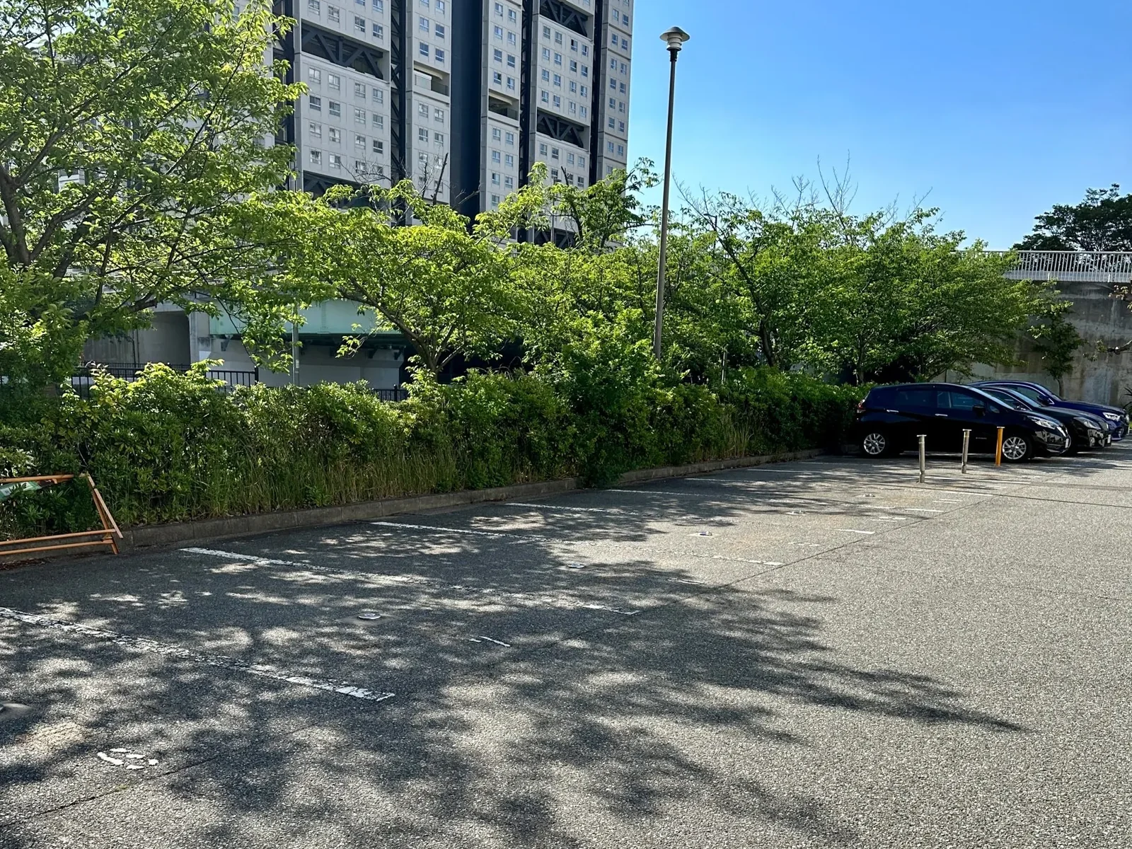 クリニック専用駐車場の全景
