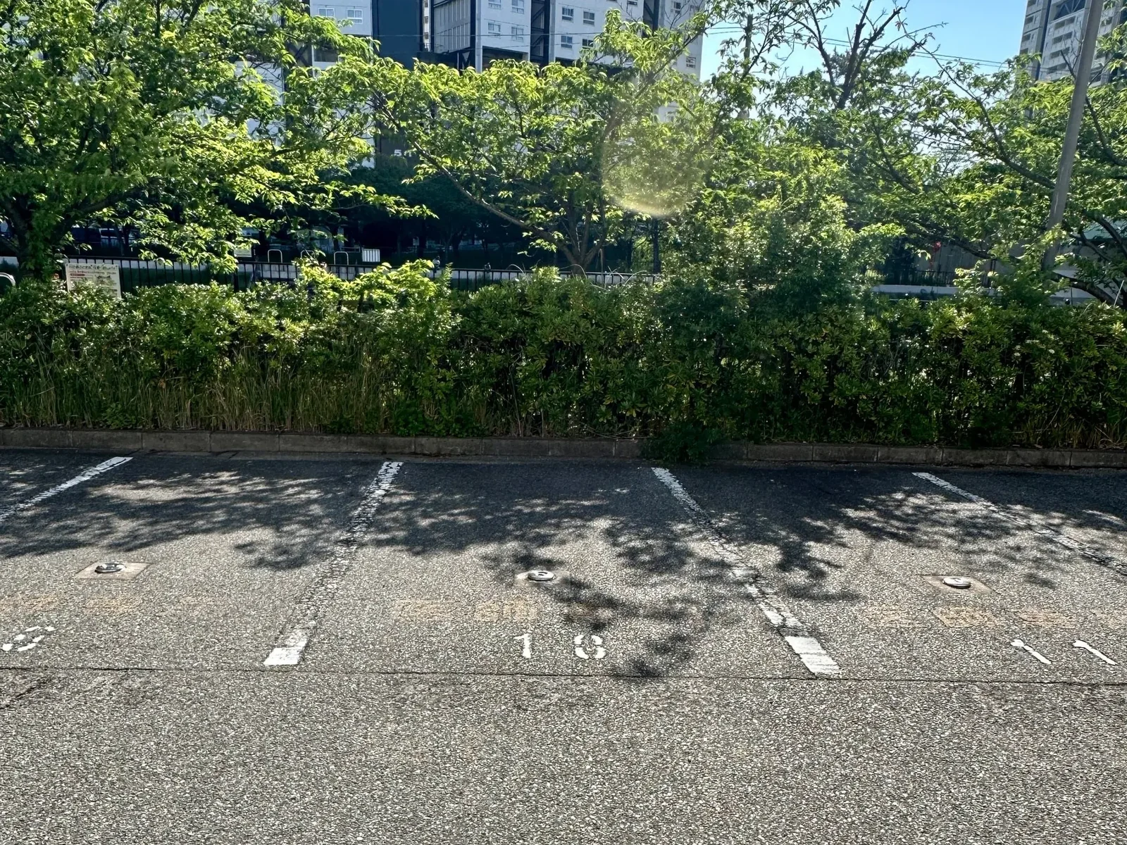 番号が表示されたクリニック専用駐車区画
